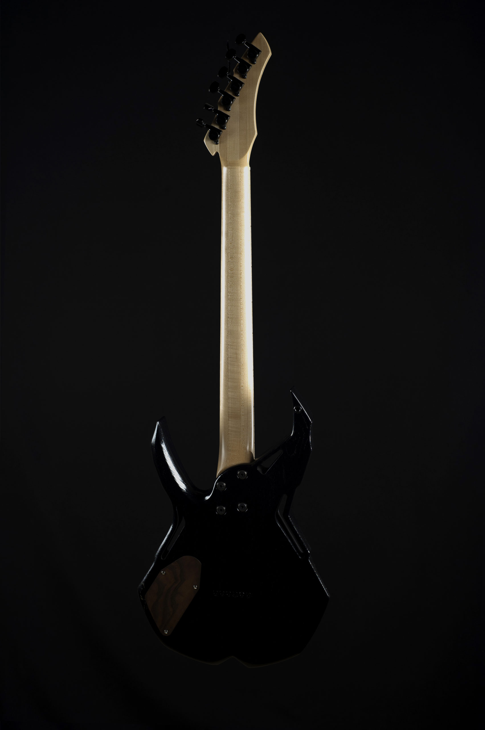 Spider (black) Titanium edition — изображение 2