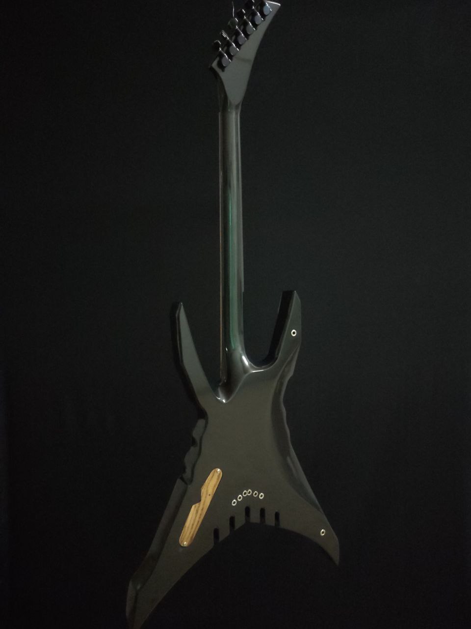 Задняя часть Хищника